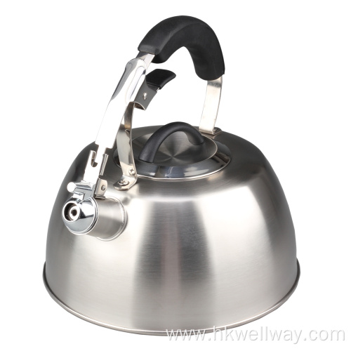 Stainless Steel Induction Whistling Tea Kettle